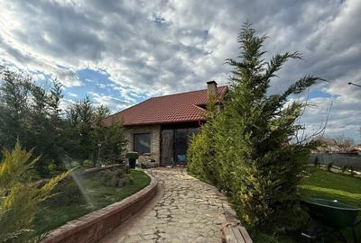 Casă cu 3 camere cu Teren 400 Mp în Vânători - 14