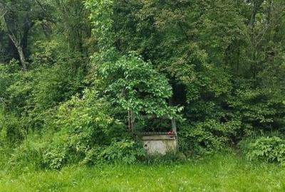 Domeniu verde autentic,  +5.000mp, front la DJ, Valcele, Brasov -- Covasna - 15