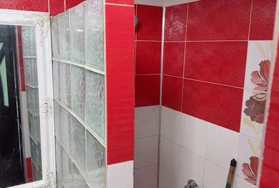 Garsonieră decomandată în Lotrului - 5