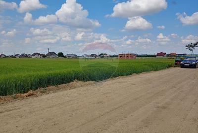 Teren intravilan 6,600mp Dumbraveni / Strada Principala spre Veresti - 9