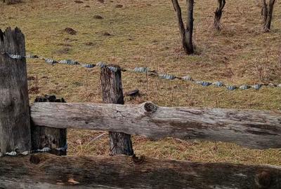 Teren de 1020 mp, în Porumbacu de Sus - 3