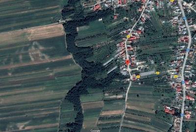 ID:16522: Teren arabil Sat Negreni, com. Darmanesti - 6