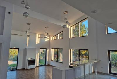 Proprietar,casa in Hlincea 170 mp,teren 1500 mp,aer curat,liniste Proprietar,casa in Hlincea 170 mp,teren 1500 mp,aer curat,liniste - 12