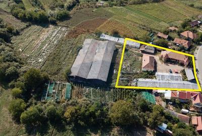 Casa cu teren si anexe, curte generoasa, potential urias - 6