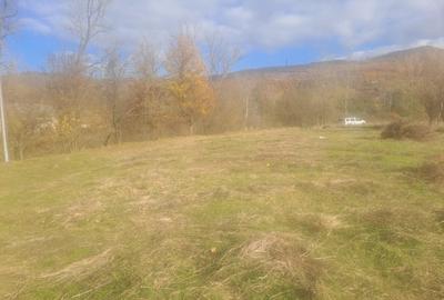 Vând teren 3 euro mp MEHADIA - 6