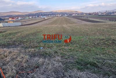 Spațiu comercial, în Bărăbanț - 2