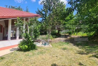 Casa Rediu, Horlesti 150 mp, 1200 mp teren - 3