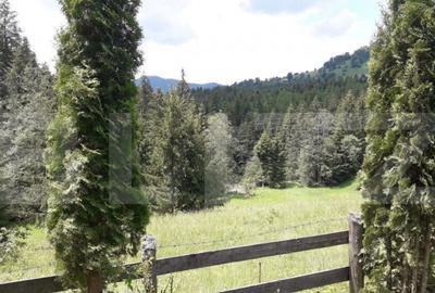 Casa de vacan?a in Piatra Fantanele + 4,5 arii teren - 3