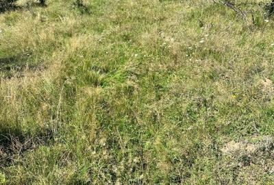 Teren de 3552 mp, în Marginea - 6