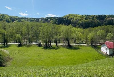 Teren de 1801 mp, în Valea Borului - 1