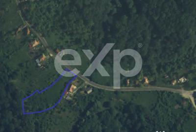 Teren în Drăganu - 1