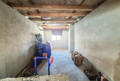 Casa Borlesti Merisani Arges - 11