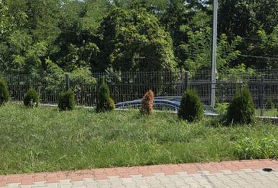 Casa noua la cheie, toate utilita?ile, Valenii De Munte, Prahova - 11