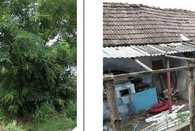 Casa si teren Costinesti, Botosani, ID: R2728052 - 34