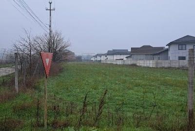 Teren Construcții intravilan de 5000 mp, în Malu Mare - 6