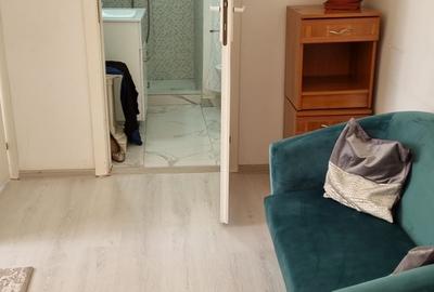 Apartament cu 2 camere semidecomandat, mobilat în Muncii - 12