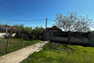 Casă cu 4 camere în Siliștea - 7