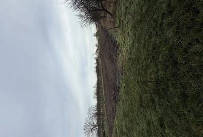 Casa de vanzare in Firiteaz, 24 km de Arad, 2787 metri patra?i. - 2