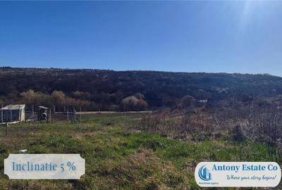 Teren intravilan de - Zona Saldabagiu De Munte, Bihor Teren intravilan de - Zona Saldabagiu De Munte, Bihor - 2