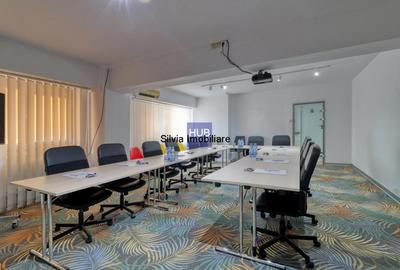 Birou langa Guvern - 2