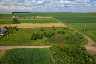 FRUMUSANI - POSTAVARI, TEREN 1500 MP, FRONT 30 M ! - 1