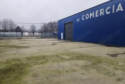 Spațiu comercial, de 800 mp, în Cărpiniș - 6