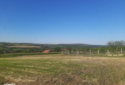 Teren de 894 mp, în Central