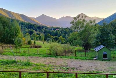 Casă cu 6 camere în Lepșa - 10