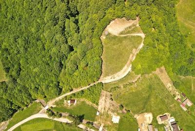 Teren de 16000 mp, în Poiana Mărului