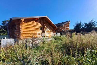 Ciurbesti - Miroslava, Cabana de lemn 117mp, 69.900 euro - 7