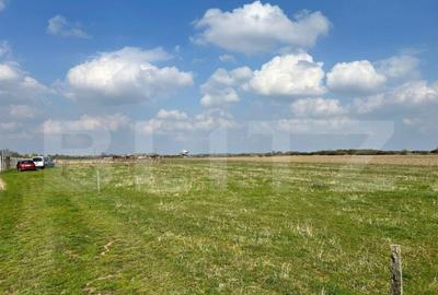 Doua parcele de vanzare | 900mp | Floare de colt - 2