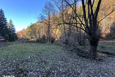 Teren de 2882 mp, în Dâmbovicioara - 19