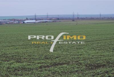 Teren de 4200 mp, în Corbu - 11