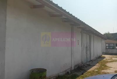 Spațiu industrial, de 90 mp, în Viilor - 6