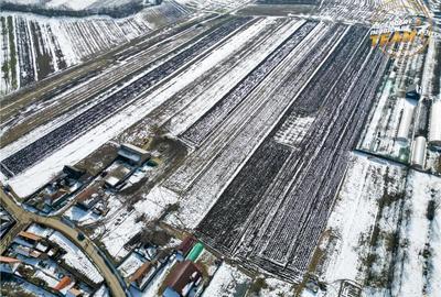 Teren de 6245 mp, în Dobolii de Jos - 19