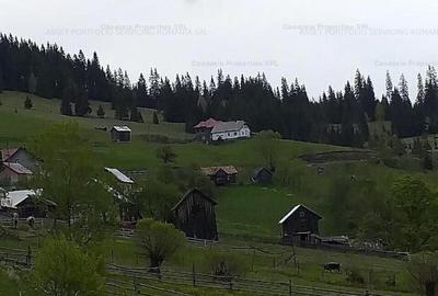 Teren 14.485 m.p. - Iacobeni, Suceava - 3