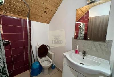 Casa  260 mpu 7 camere 5 bai filigorie teren 500 mp Selimbar - 22