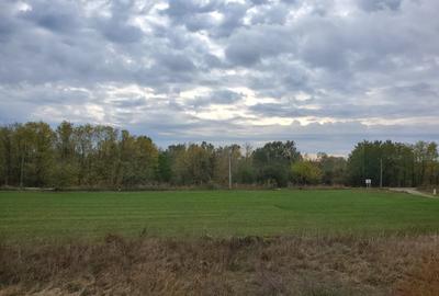 Teren de vanzare Ciolpani-Luparia - 1