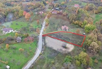 Teren Copalnic-Manastur - 2