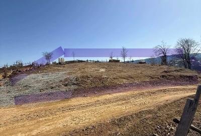 Spațiu comercial, în Poiana Vadului - 1