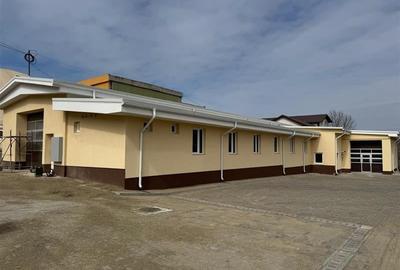 Hală formata din 2 corpuri 440 mp , H - 4 - 6 metri, Valea Lupului - 1