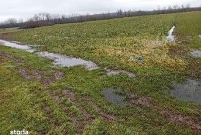 Teren de 833 mp, în Stolnici - 2