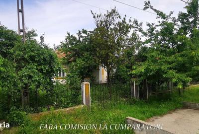 Spațiu comercial, în Stolniceni - 6