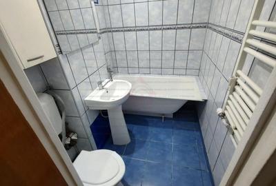 Giurgiului Luica ideal credit - 7