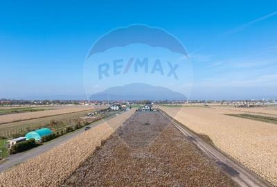 Teren Brasov -Strada Aron Pumnul, 520-1040-2600 mp, 5 loturi - 5