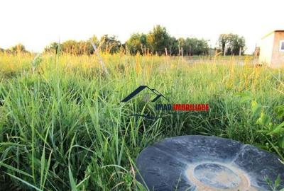 Teren intravilan, construibil, 523 mp, Viforata - Targovist - 9