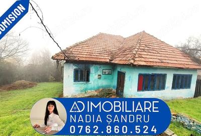 Casă cu 3 camere cu Teren 719 Mp în Baia de Fier - 5