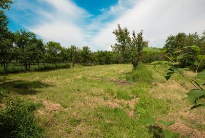 Casa de familie in zona rurala linistita - 6
