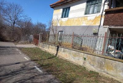 Casă cu Teren 6996 Mp în Cerișor - 4