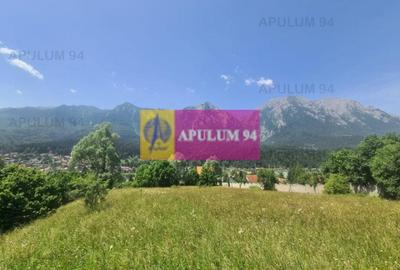 Teren de vânzare în Bușteni - Zona Zamora - 15